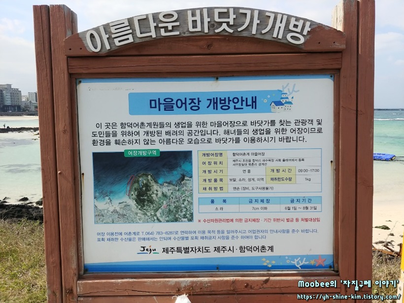 제주 함덕해수욕장