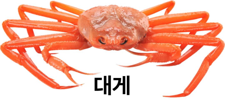 대게사진