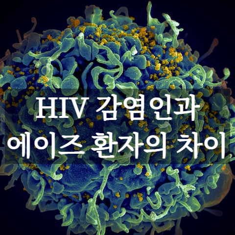 HIV 감염인과 에이즈 환자의 차이