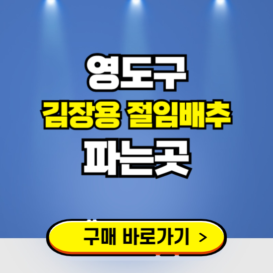 영도구 절임배추 사전예약 구입하는곳 ❘ 김장배추 파는곳 가격보기