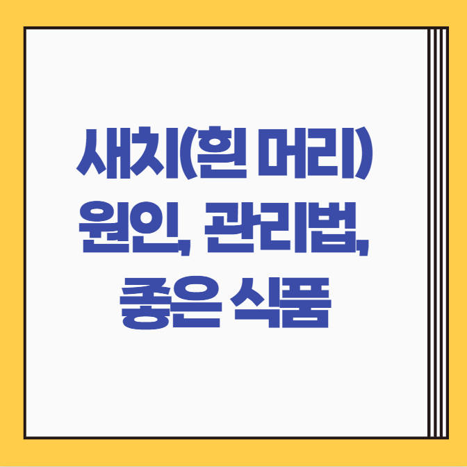  흰머리 나는 이유 | 10대, 20대 새치 원인 및 관리방법, 새치에 좋은 식품 3가지
