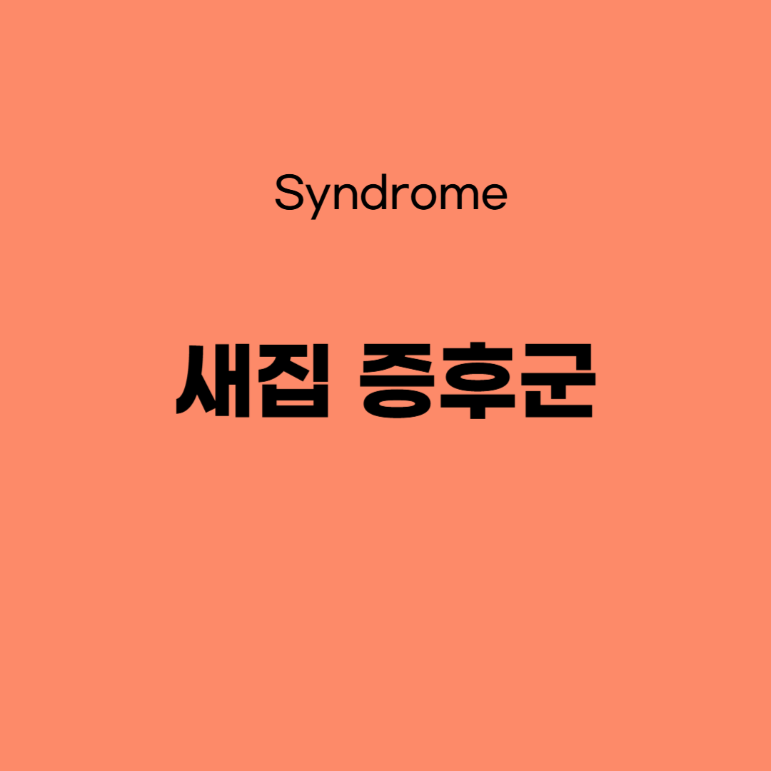 새집 증후군