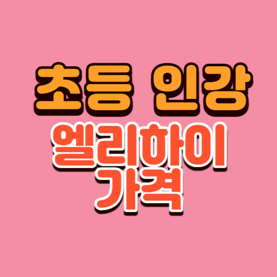  초등 인강 엘리하이 가격