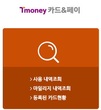  티머니 잔액조회, 잔액 확인