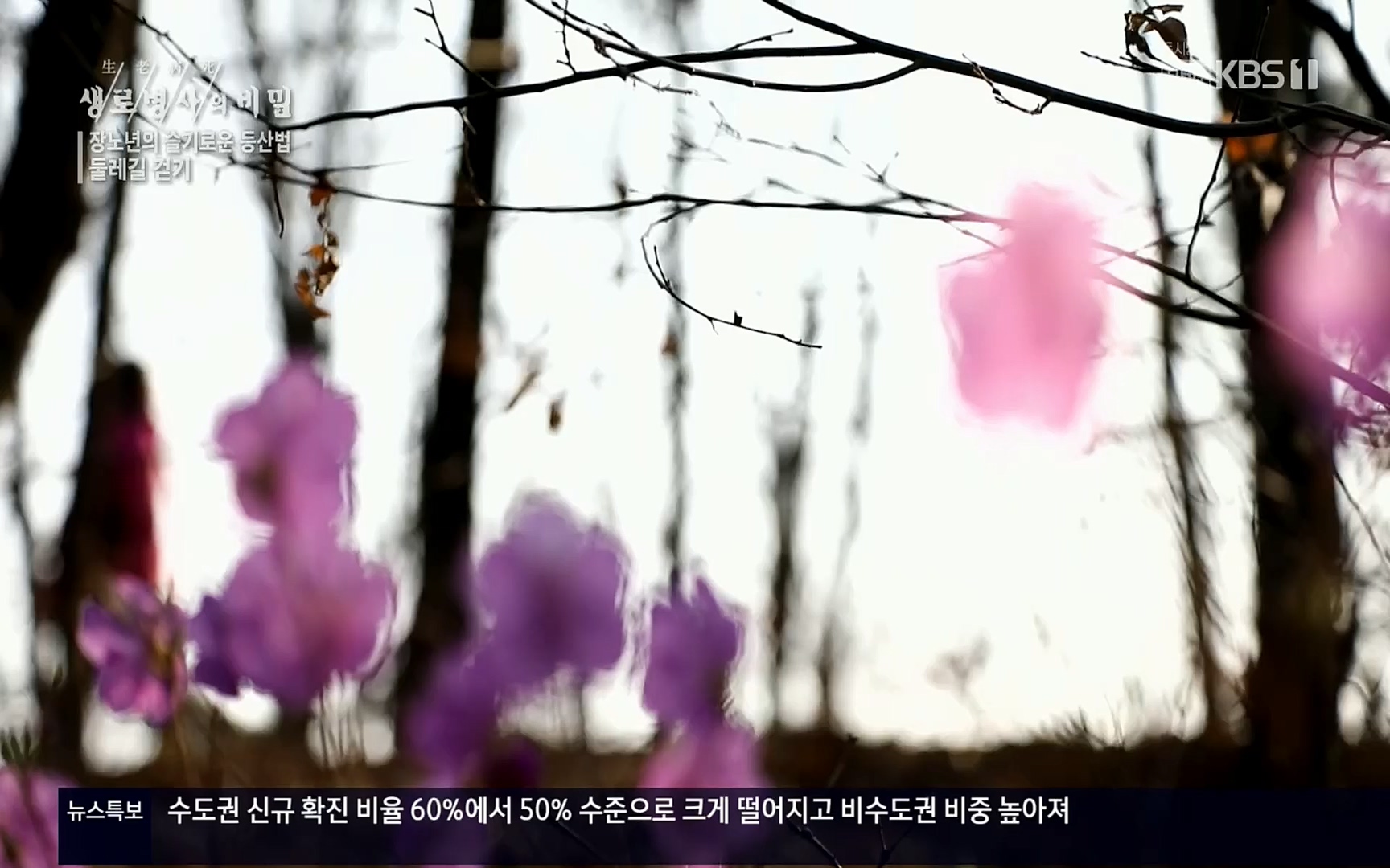 생로병사의 비밀.E816.220413p.H264-F1RST.mp4_20220414_192704.765.jpg