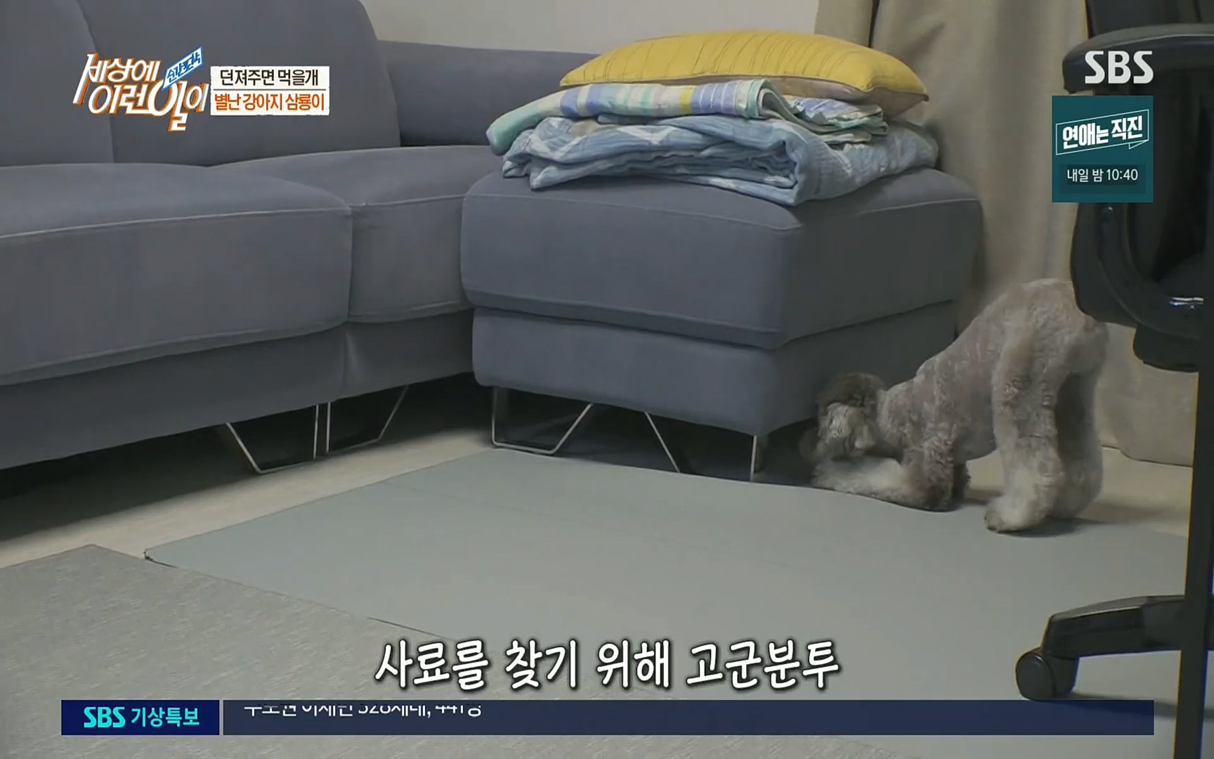 순간포착 세상에 이런일이.E1192.220809p.H264-F1RST.mp4_20220810_203613.333.jpg