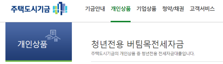 전세vs월세에 관심을 가져야 하는 이유 (feat. "청년지원대출") 3