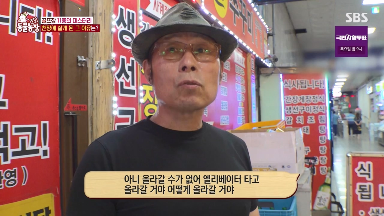 TV 동물농장.E1133.230814p-NEXT.mp4_20230813_171349.705.jpg