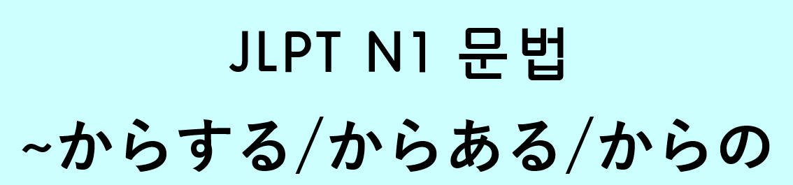  JLPT N1 일본어 문법: ~からする / からある / からの
