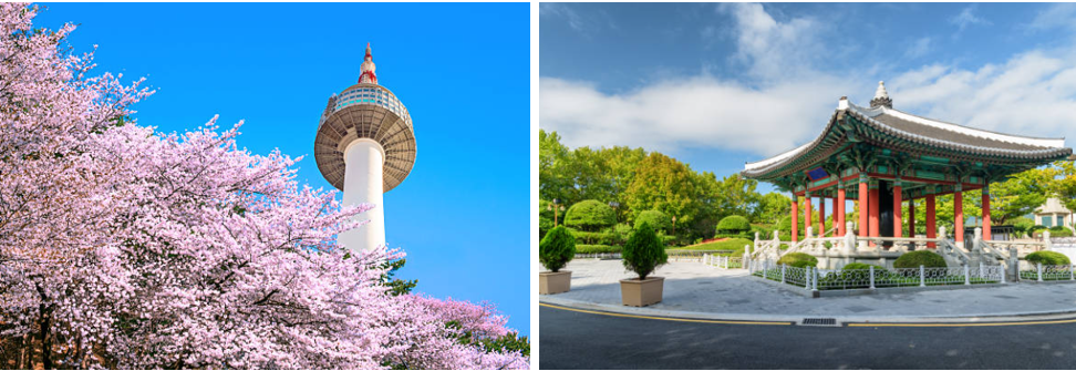 남산서울타워에서 찍은 사진