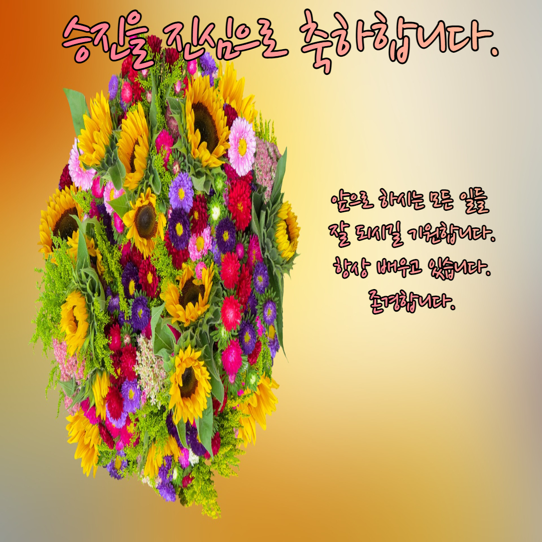  승진 및 진급 축하 문구 및  메세지 모음, 이미지 다운로드(멋진 멘트)