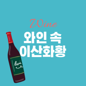이산화황