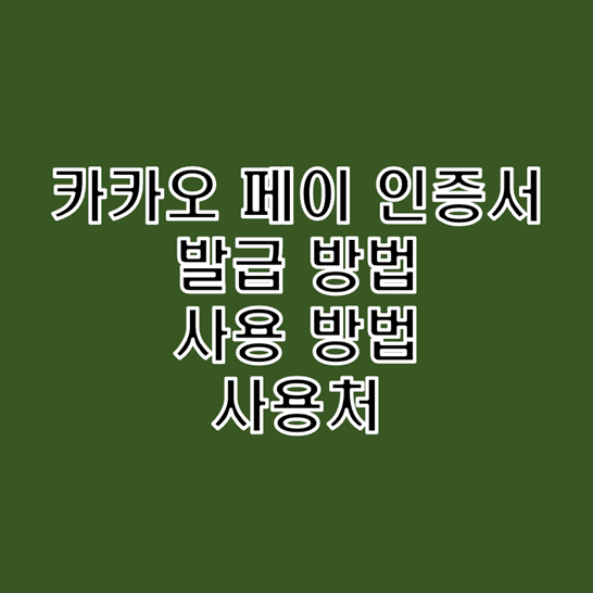  카카오 페이 인증서 발급받고 사용하는 방법과 사용처