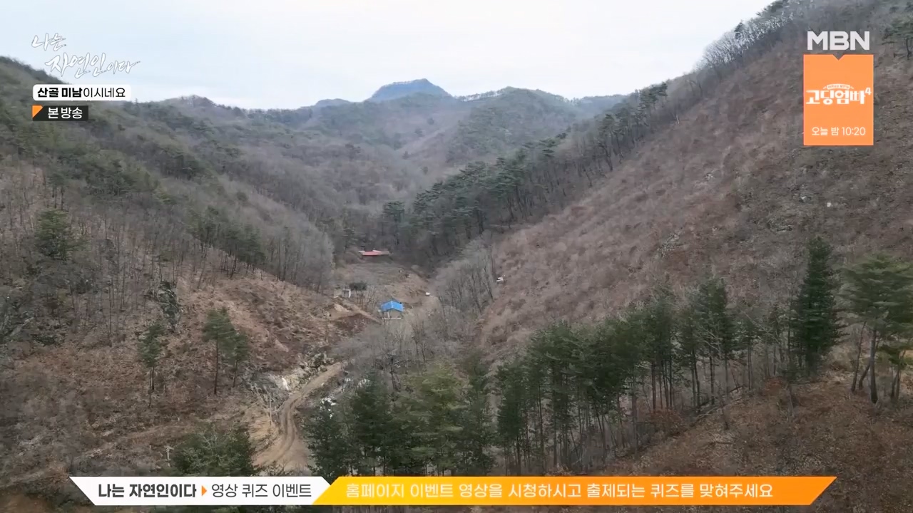 나는 자연인이다.E592.240208p-NEXT.mp4_20240208_193236.039.jpg