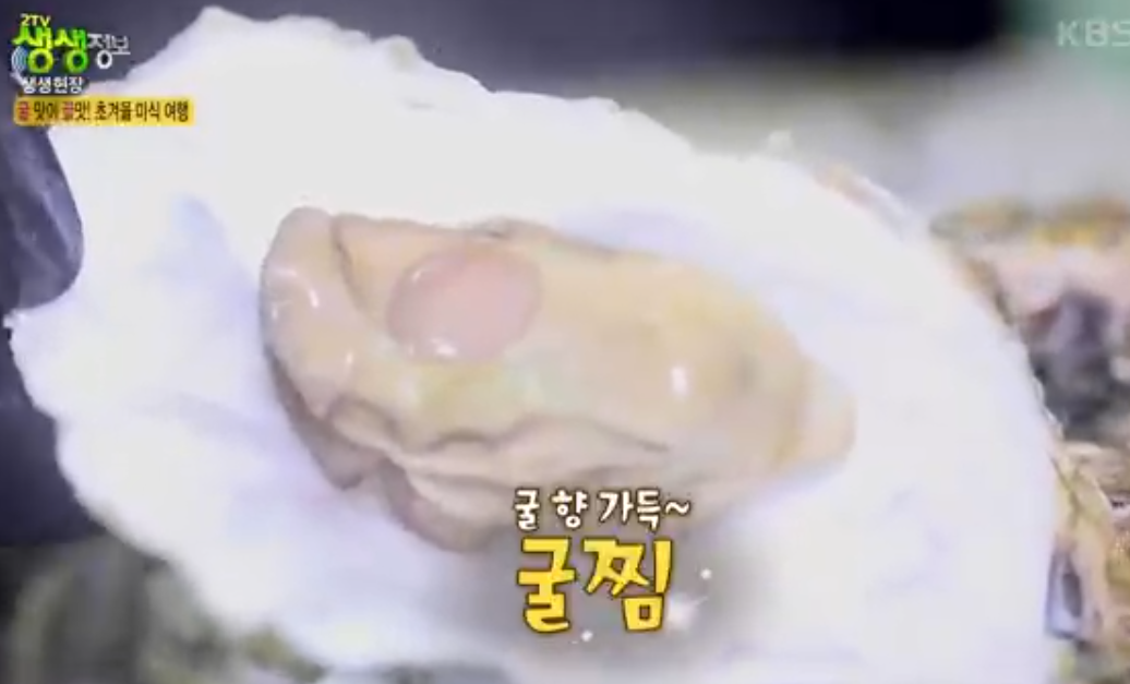 천북굴단지 정보 안내