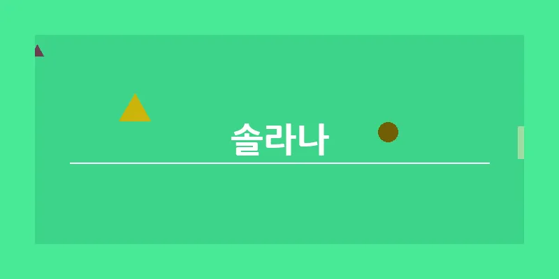 bn_솔라나_29