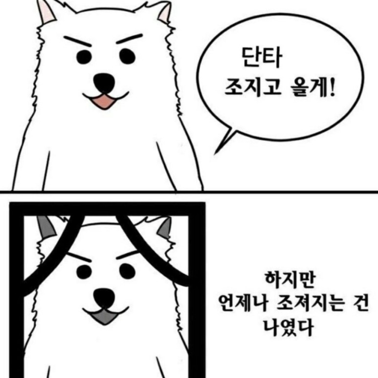 - 운을 극복하는 주식투자 주식투자에서 가장 중요한건 운? 5