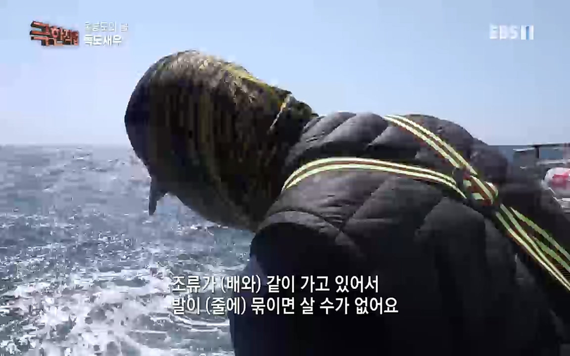 TV - 교육의 중심 EBS울릉도의 봄, 명이나물과 독도새우.mp4_20220525_210911.496.jpg