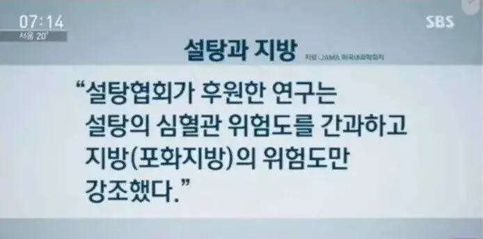 돼지기름 기사내용