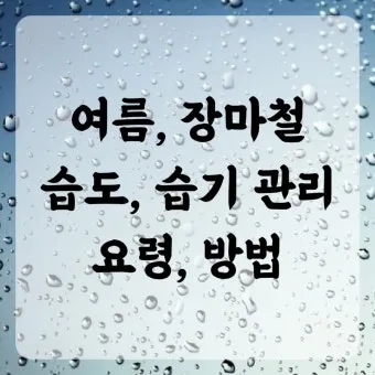 여름철 습도 관리 완벽 가이드 건강한 실내 환경_26