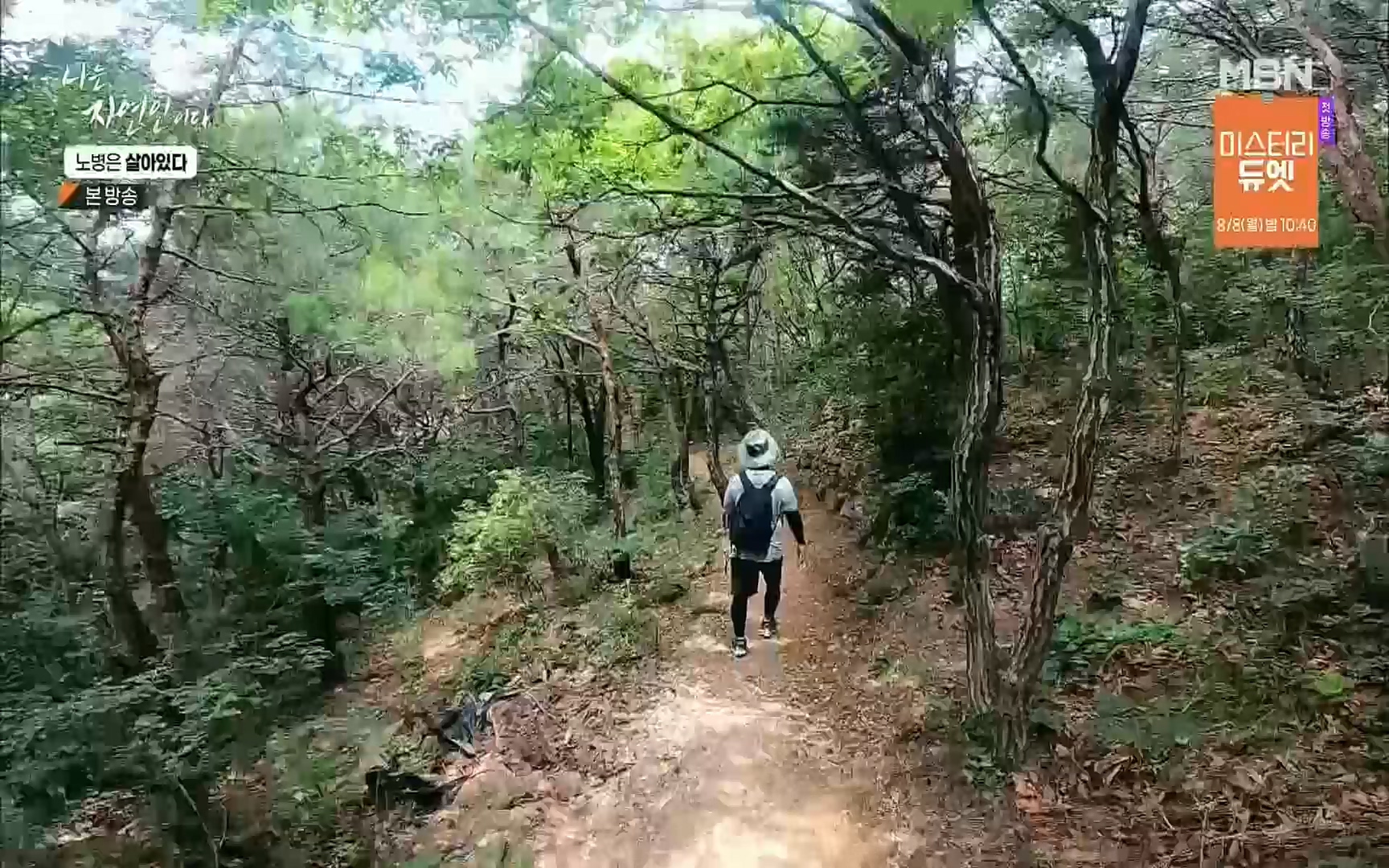 나는 자연인이다.E512.220727p.H264-F1RST.mp4_20220728_200901.182.jpg