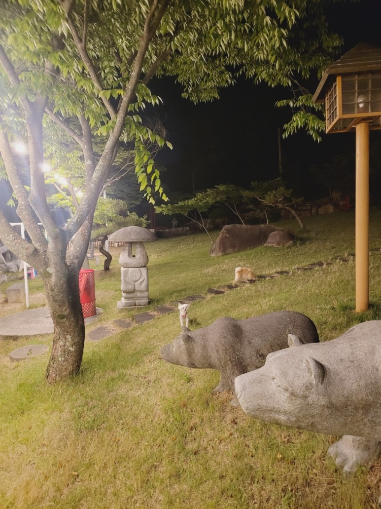 울산 자비 애완동물 연금 심사 14