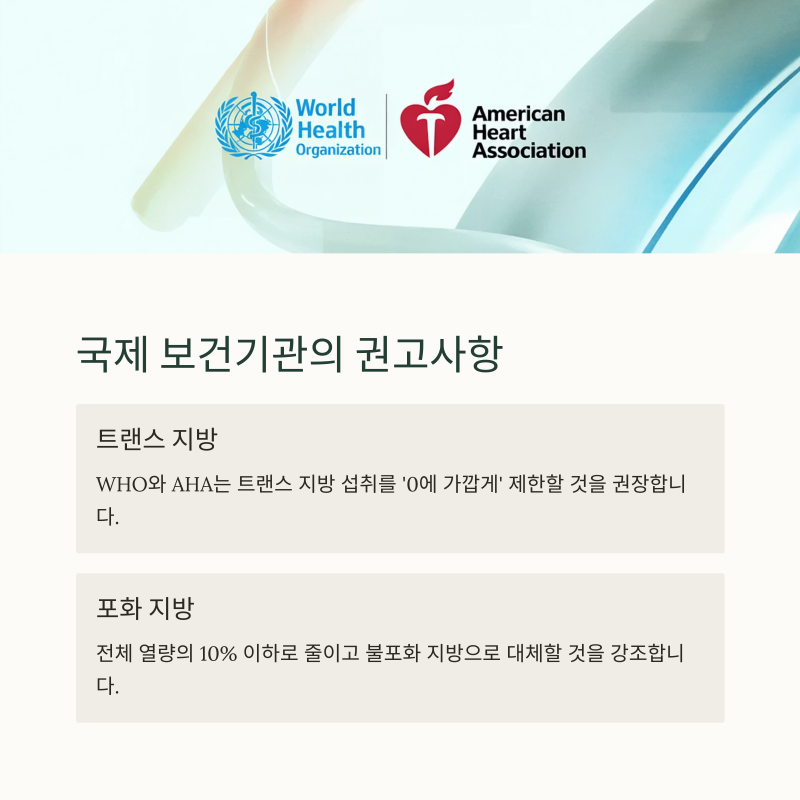 혈관건강 내용 정리 페이지