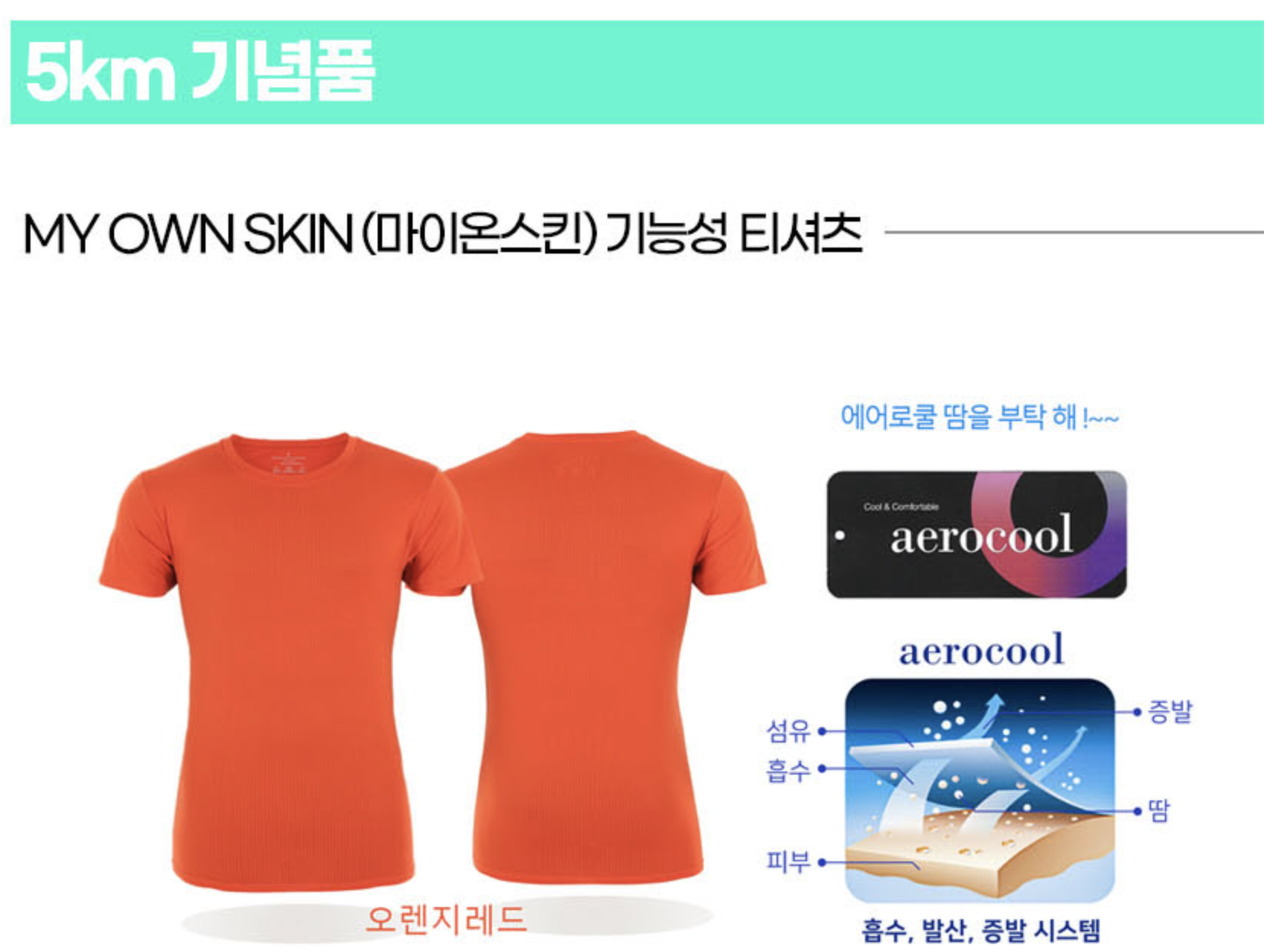  마라톤 대회 추천 _ 영남일보 국제 하프마라톤대회