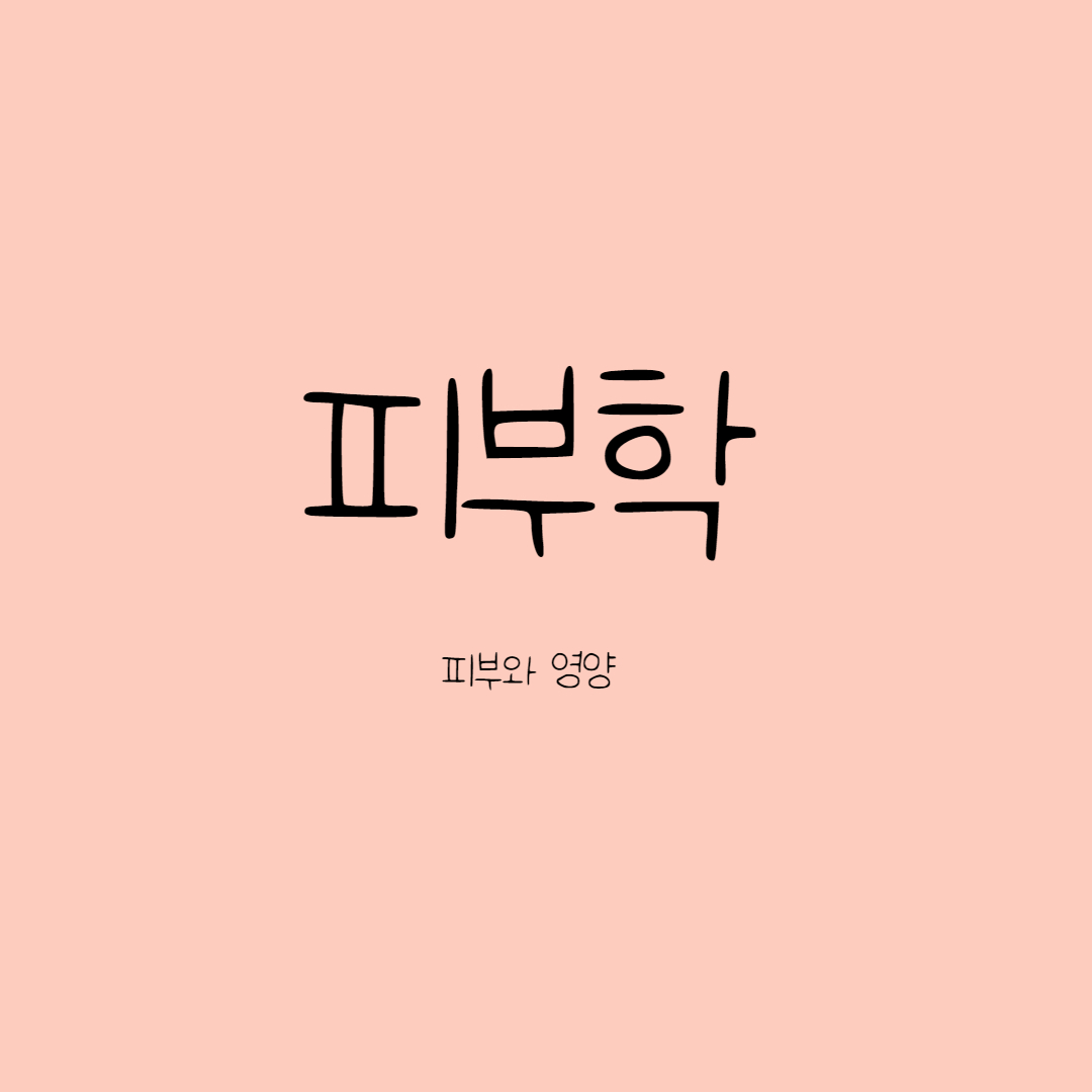  피부와 영양