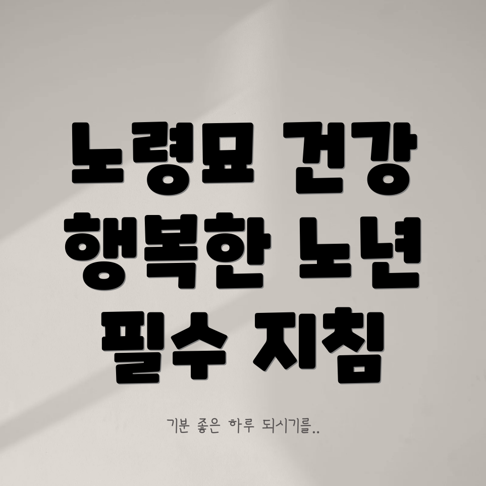 노령묘 건강검진