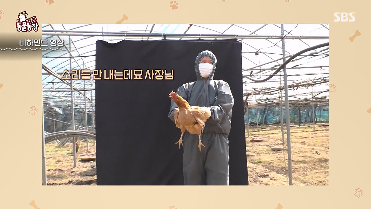 TV 동물농장.E1172.240520p-NEXT.mp4_20240519_163737.062.jpg