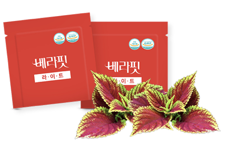  베라핏 다이어트 가격
