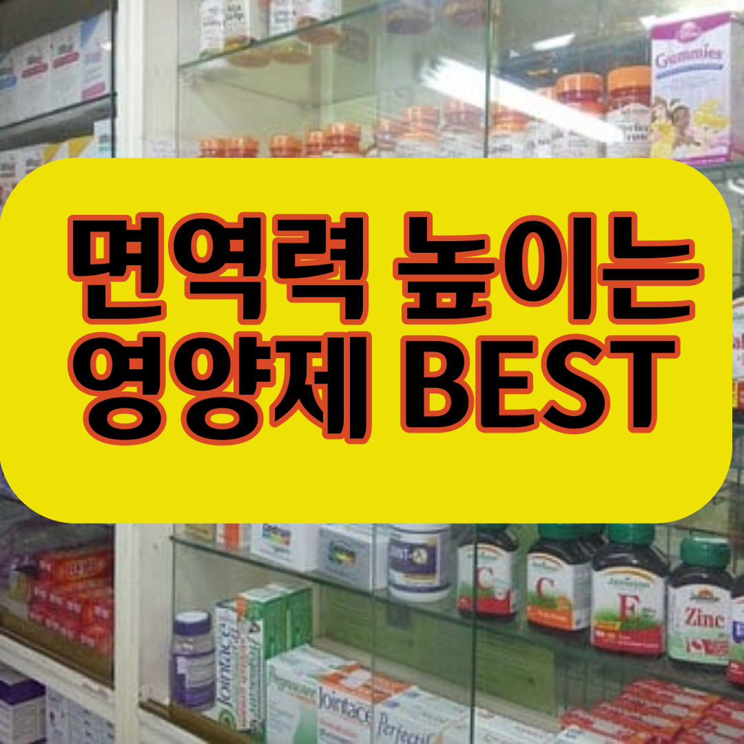  면역력높이는 영양제 알려드립니다.