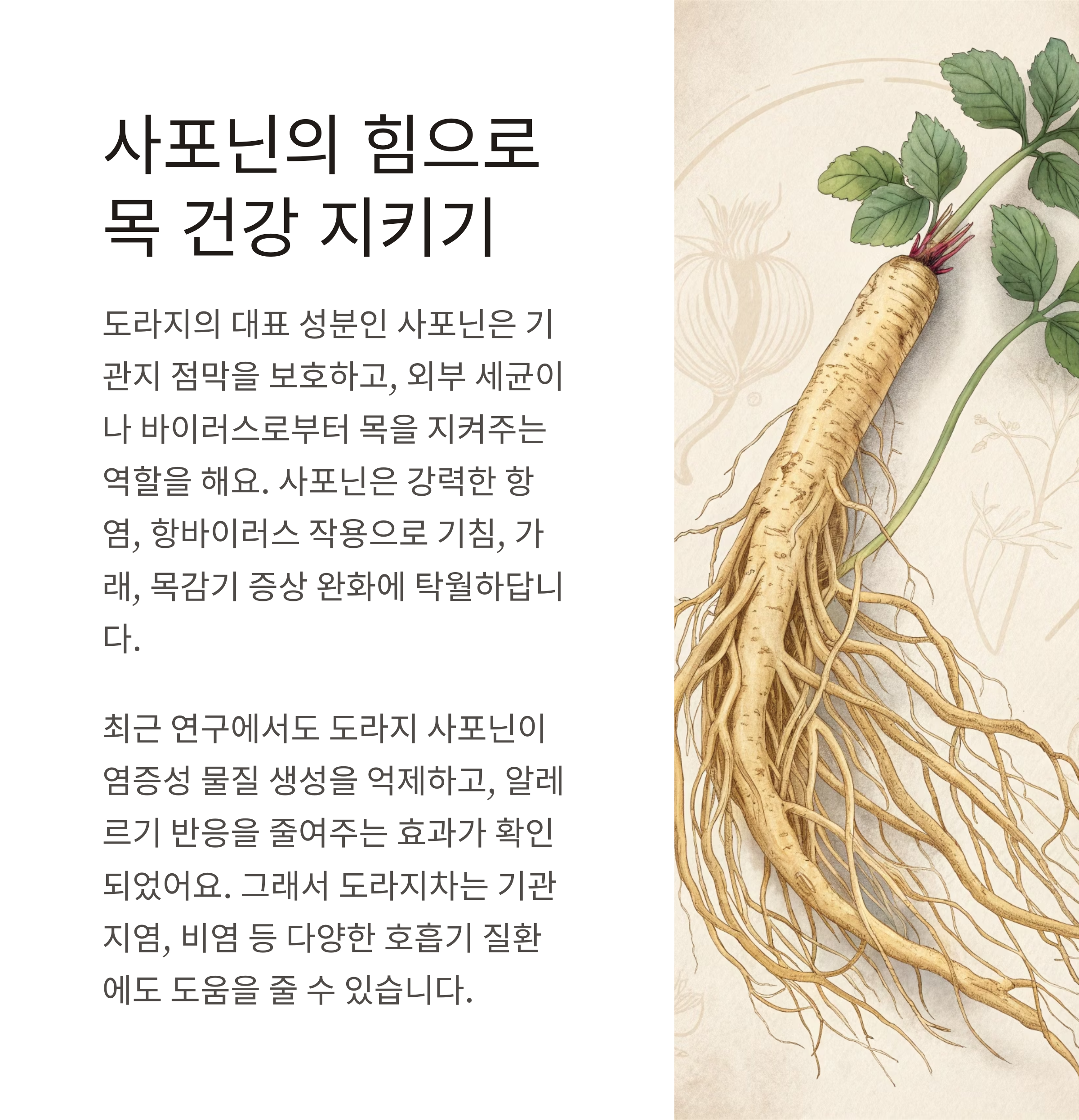도라지차