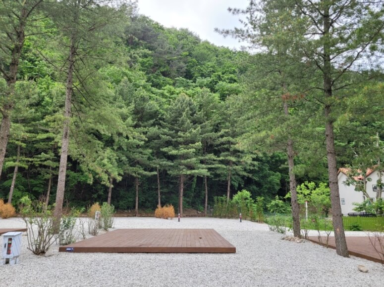 캠핑장 사이트