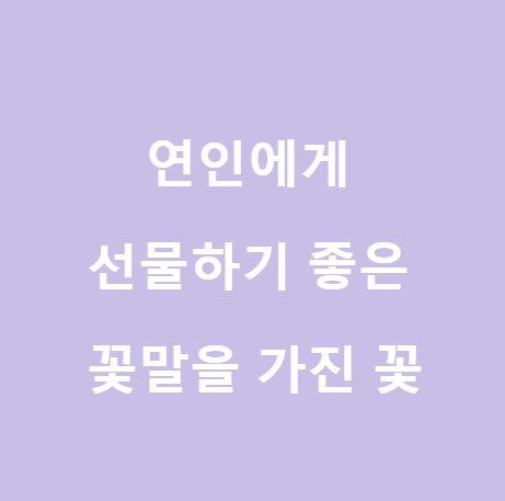  <꽃말> 사랑하는 사람에게 선물하기 좋은 꽃들