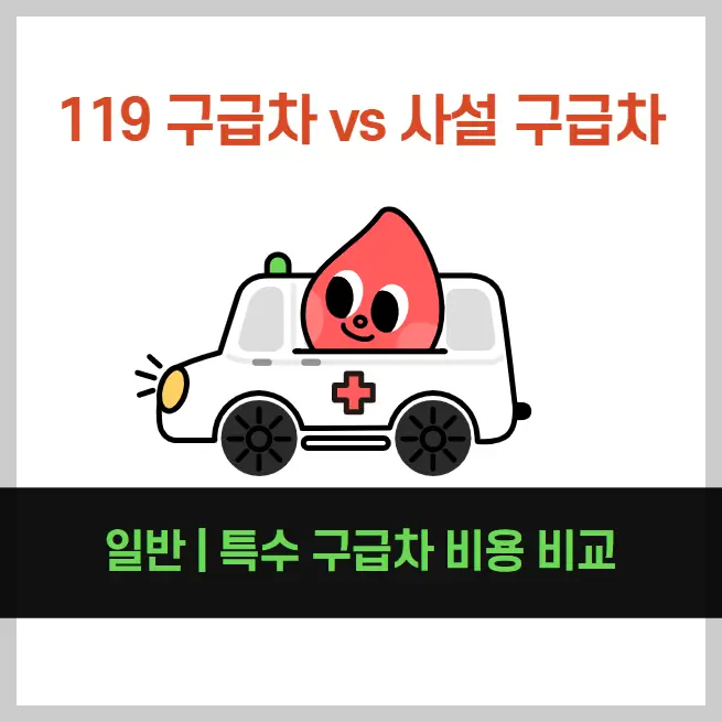 119-구급차-비용-vs-129-사설-구급차-비용