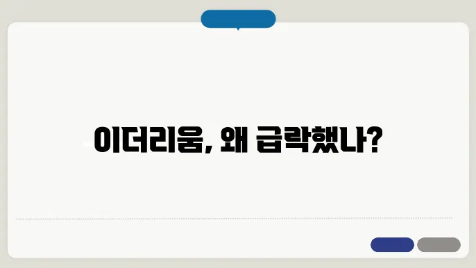하락 원인 요약