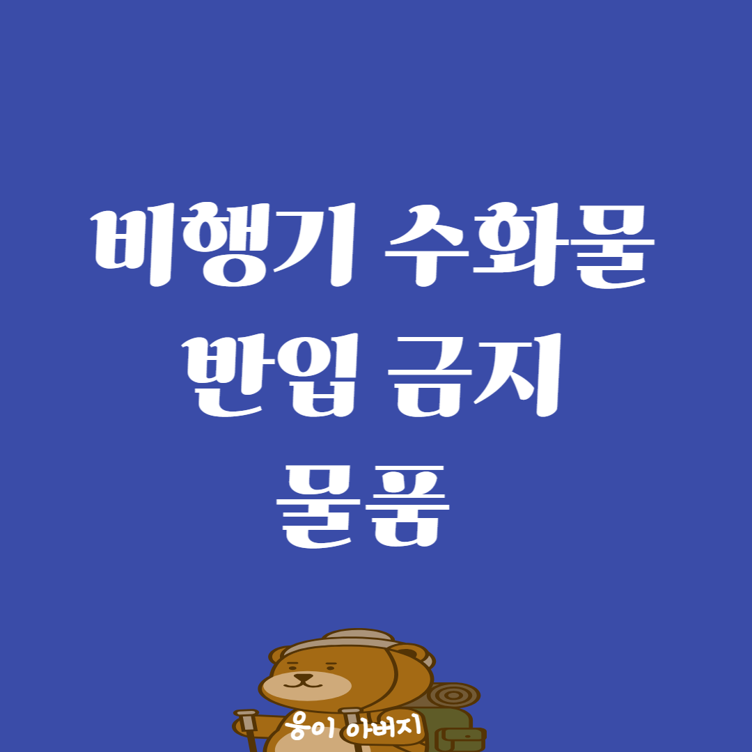 비행기 수화물 반입 금지 물품 - 홈페이지 확인1