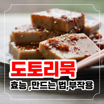 13 도토리묵의 효능, 부작용 및 도토리묵 만드는 법