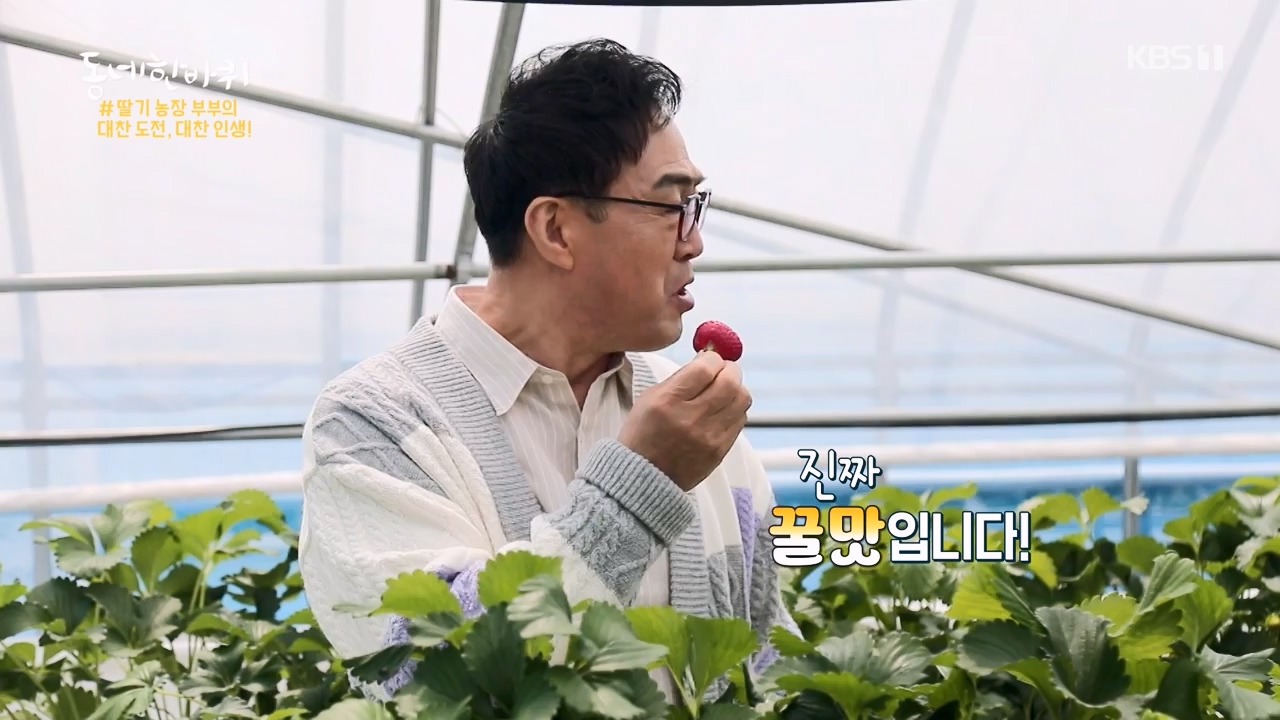 동네 한 바퀴.E272.240505p-NEXT.mp4_20240505_160319.014.jpg