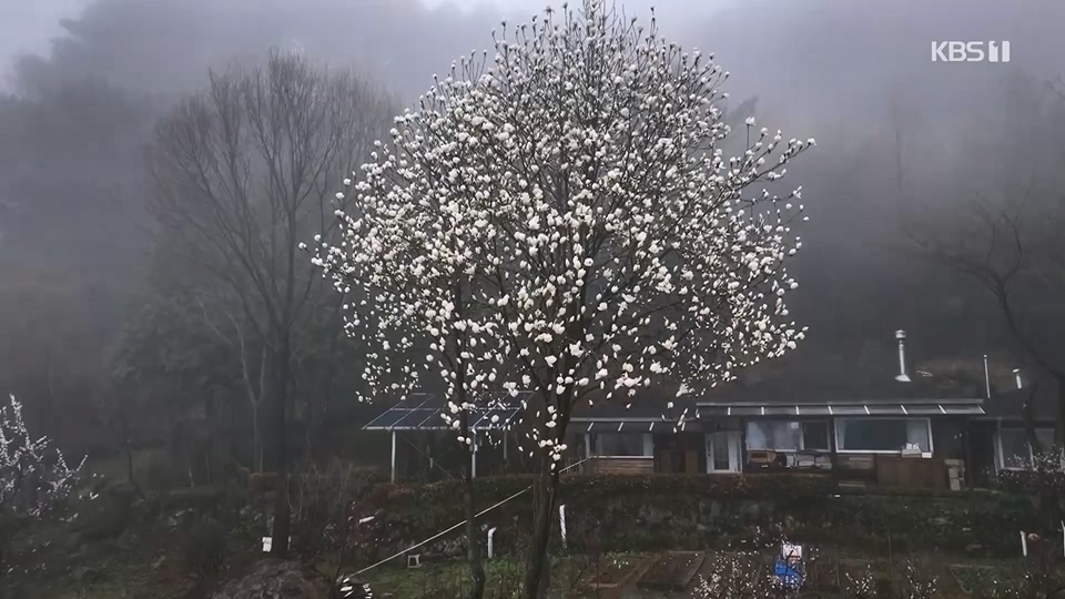 다큐 인사이트.E153.230608p.H264-F1RST.mp4_20230612_204526.289.jpg