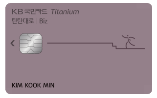 KB 탄탄대로 비즈 티타늄 카드