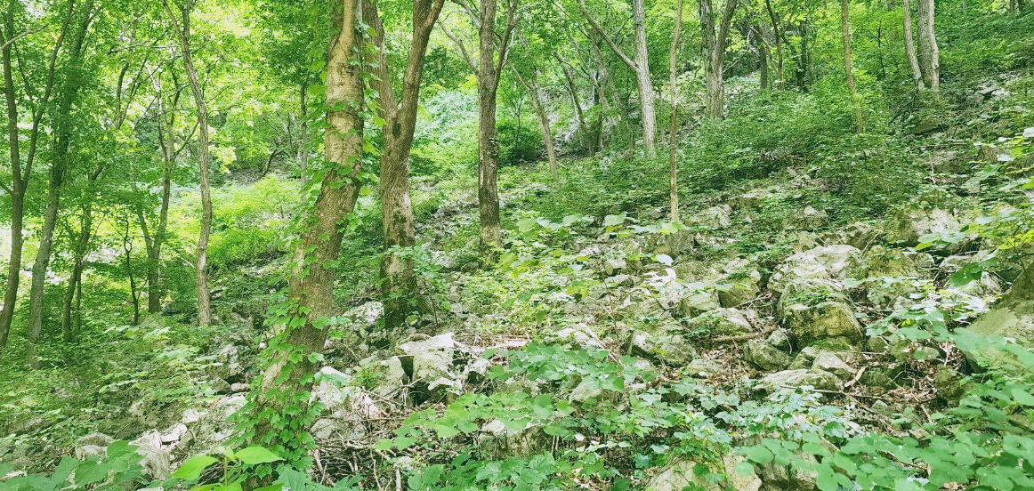 취약점은 우리를 더 강하고 진정한 인간으로 만들어줍니다. 
자신의 약점을 인정하고 이를 키워나가면 더 깊은 관계를 형성하고 개인적인 성장을 이룰 수 있습니다.
이제 당신도 약점을 표현해보세요.
더욱 풍부한 삶을 살아갈 수 있습니다.