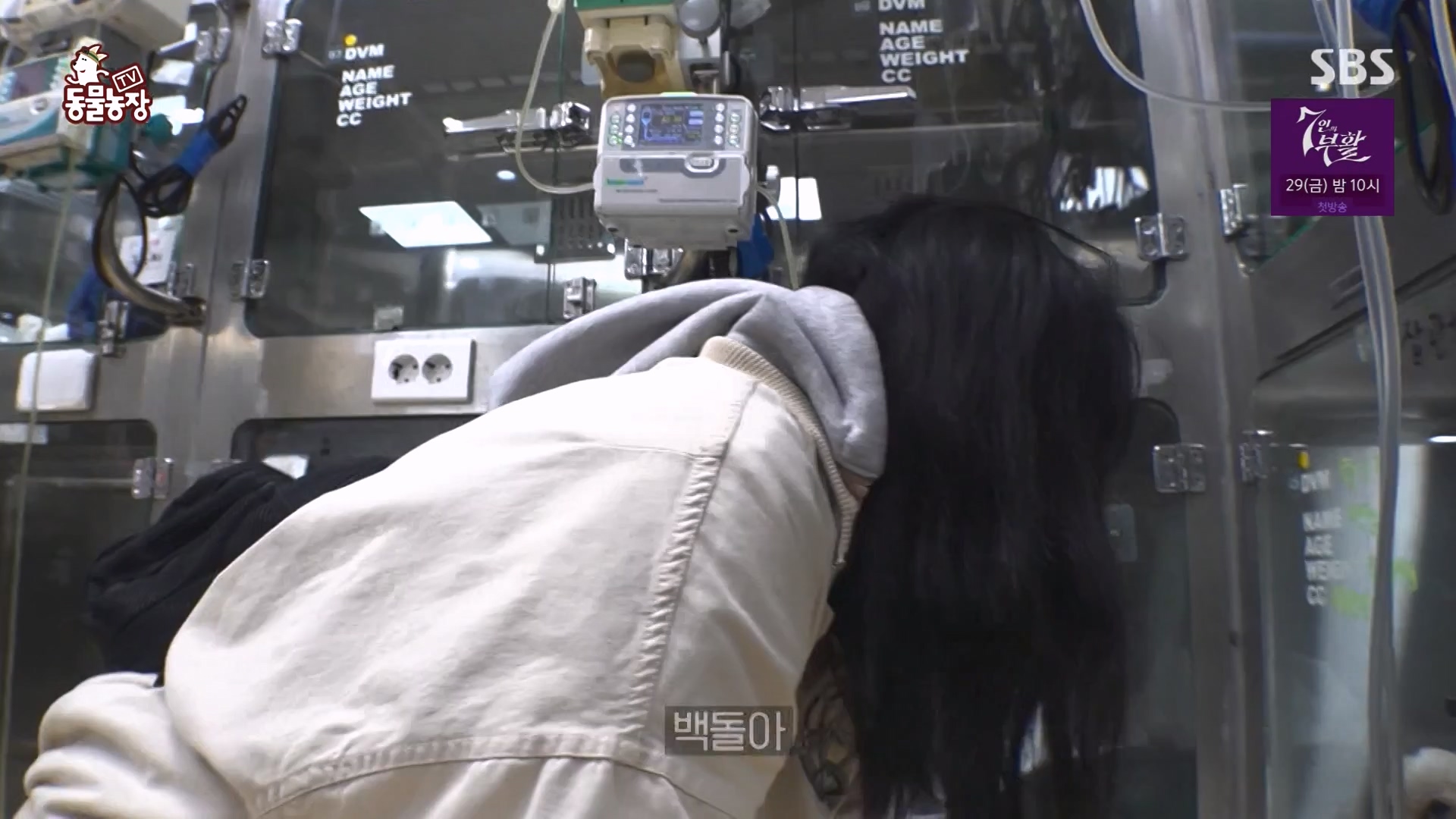 TV 동물농장.E1164.240324p-NEXT.mp4_20240324_172341.885.jpg