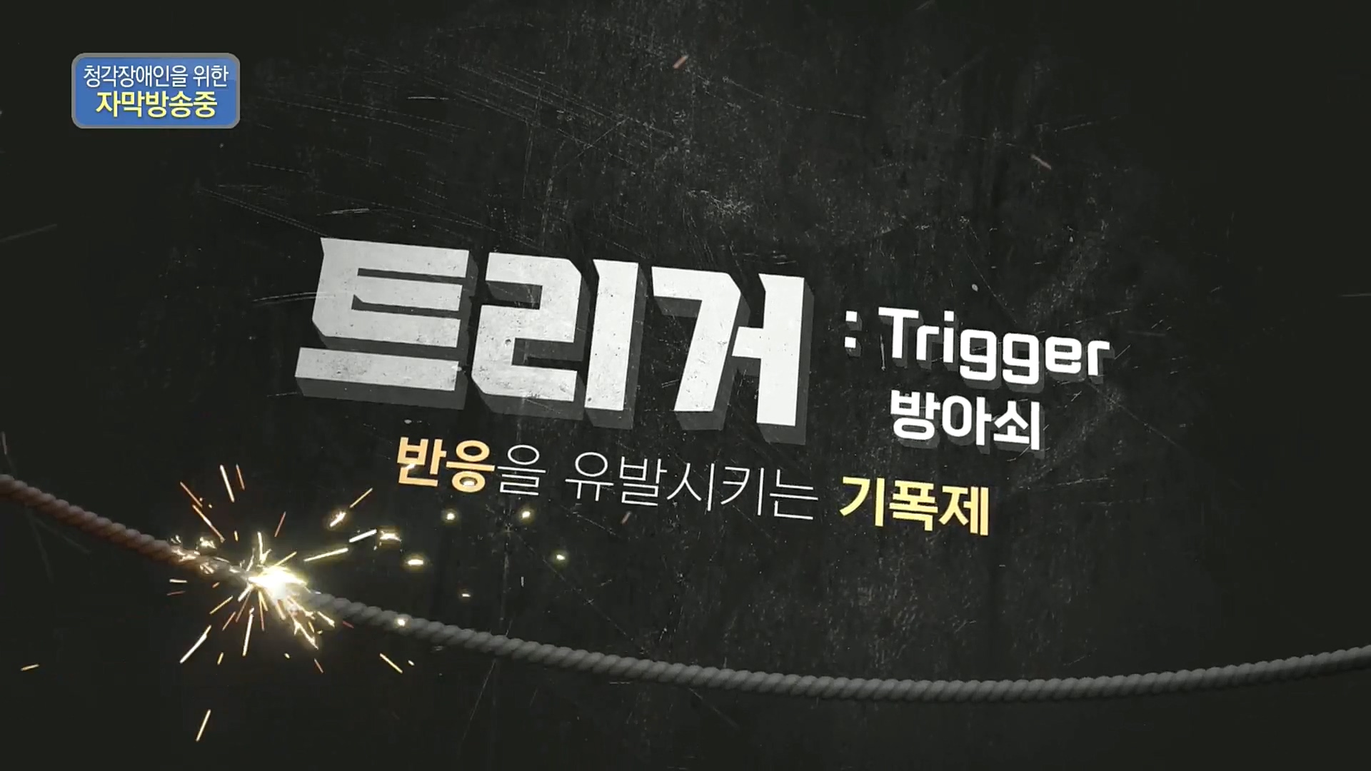 다큐 On.E166.221028p.H264-F1RST.mp4_20221031_191741.314.jpg