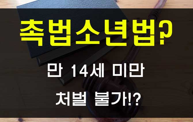  촉법소년법 폐지 청원 보호처분과 형사처벌 차이는?