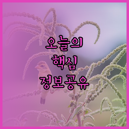 모나코 최고의 호텔 비교! 어떤 곳이