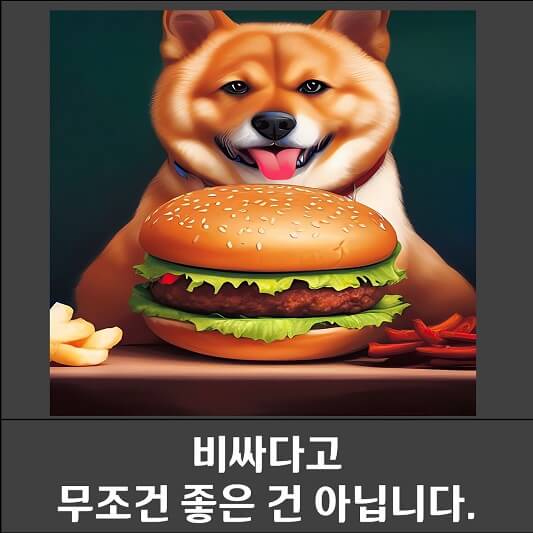 사료 사진