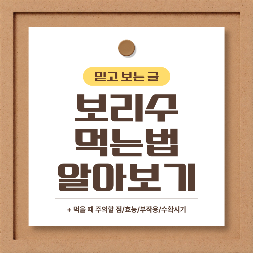  보리수 먹는법 알아보기